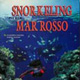 Snorkeling nel Mar Rosso