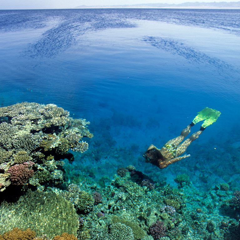 MAR ROSSO Snorkelling e Isole