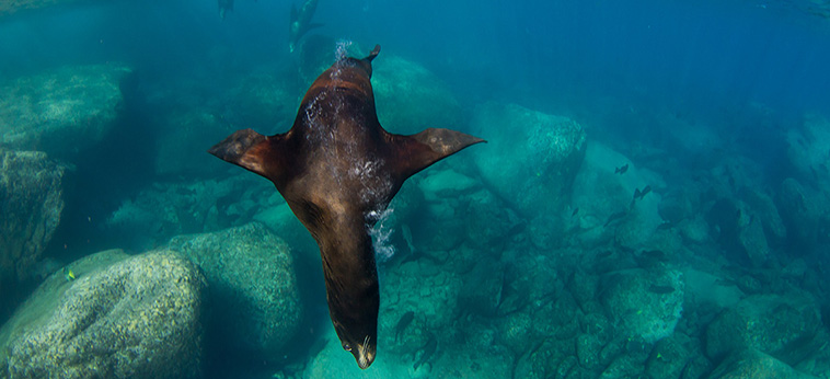 BAJA CALIFORNIA nel blu della Baja