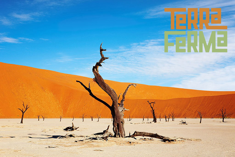NAMIBIA natura, mare deserto