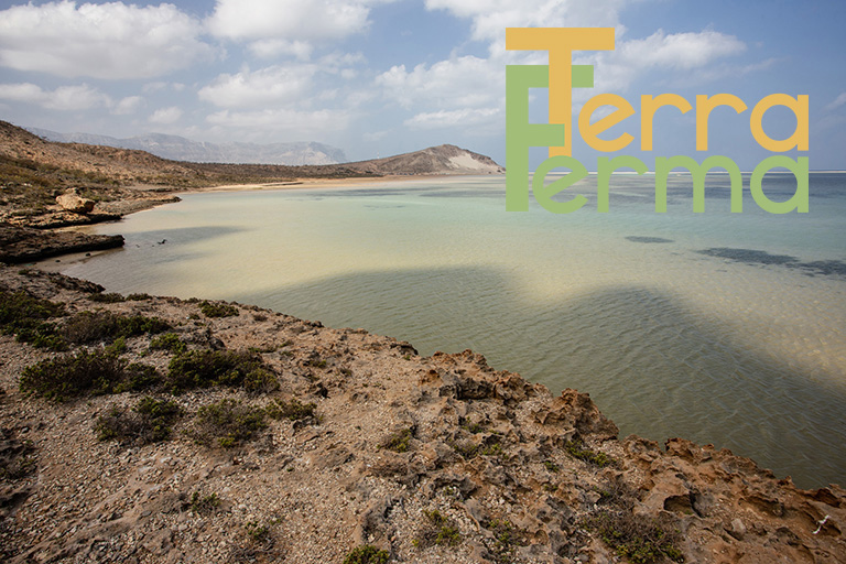 SOCOTRA isola primordiale